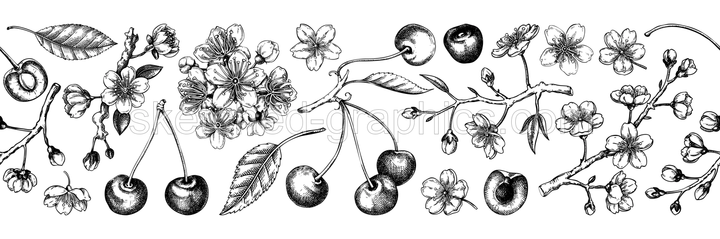 Spring border design. Cherry blossom seamless pattern, engraved style.Sakura flowers, berry fruit hand drawin vector illustrations. NOT AI generated Illustration
